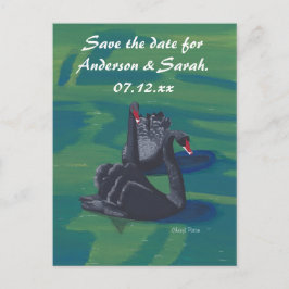 Zwei schwarze Schwäne schwimmen Save the Date Post Ankündigungspostkarte