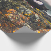 ZWEI SCHWARZE VÖGEL GESCHENKPAPIER (Ecke)