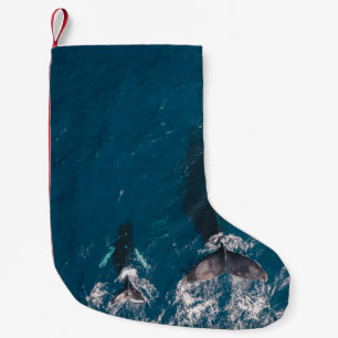 ZWEI SCHWARZE WALLE SCHWIMMEN IN WASSER KLEINER WEIHNACHTSSTRUMPF