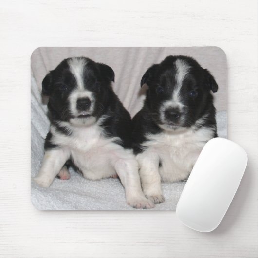 zwei Schwarzweiss-Welpen Mousepad (Mit Mouse)