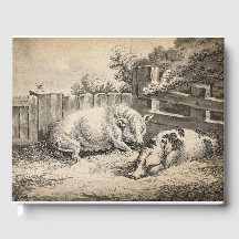 Zwei Schweine, die in Strohhalm in einem Außengebl