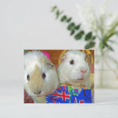 zwei Schweine mit weißer Guinea Postkarte (Stehend Vorderseite)