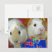 zwei Schweine mit weißer Guinea Postkarte (Vorne/Hinten)
