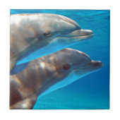Zwei schwimmende Delphine Fliese (Vorderseite)
