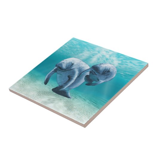 Zwei schwimmende Manatis Fliese (Seite)