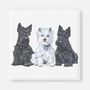 Zwei Scotties und ein Westie Magnet
