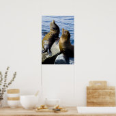Zwei Sea Lions Sonnenbrille Poster (Küche)