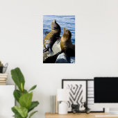 Zwei Sea Lions Sonnenbrille Poster (Heimbüro)