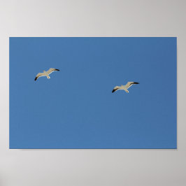 Zwei Seagull-Vögel fliegen Clear Blue Sky Poster
