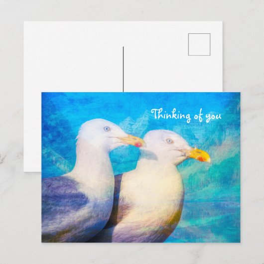 Zwei Seagulls Blue Sky Postkarte (Vorne/Hinten)