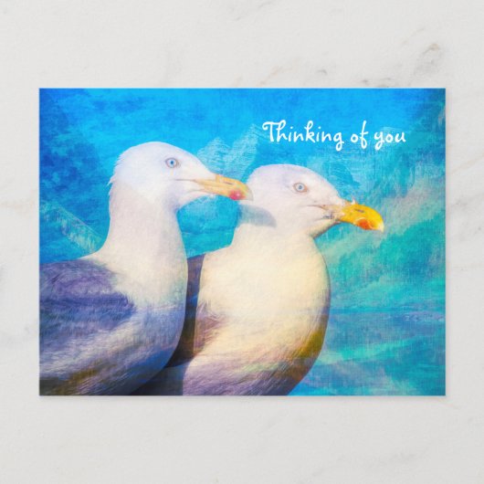 Zwei Seagulls Blue Sky Postkarte (Vorderseite)