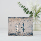 Zwei Seaugullen Postkarte (Stehend Vorderseite)