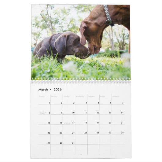 Zwei Seite, Medium, weißer Kalender (Mär 2026)