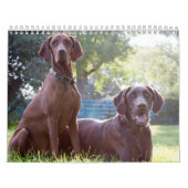 Zwei Seite, Medium, weißer Kalender (Titelbild)