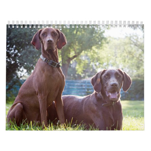 Zwei Seite, Medium, weißer Kalender (Titelbild)