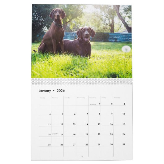 Zwei Seite, Medium, weißer Kalender (Jan 2026)