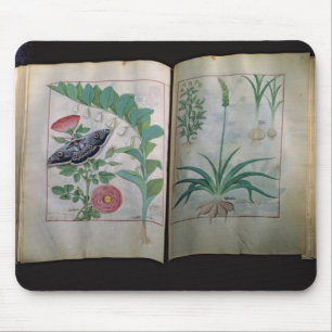 Zwei Seiten, die Rose und Knoblauch darstellen Mousepad