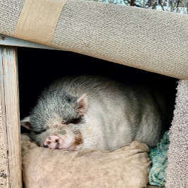 Zwei Seiten eines Polarbären Kaffeetasse