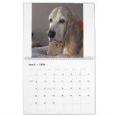 Zwei Seiten großer Kalender, weiß Kalender (Mär 2026)
