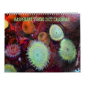 Zwei Seiten großer Kalender, weiß Kalender (Titelbild)