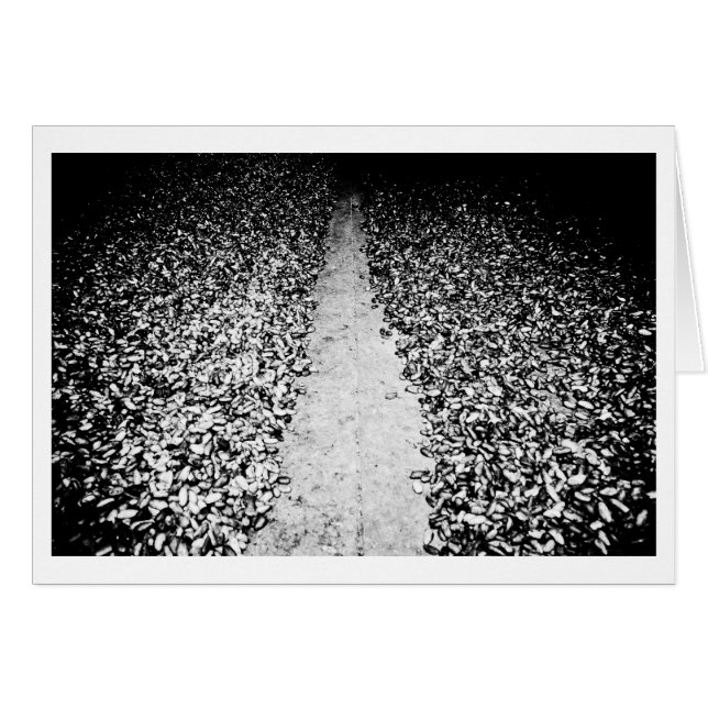 zwei Seiten Kakao (Vorderseite (Horizontal))