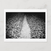 zwei Seiten Kakao Postkarte (Vorderseite)