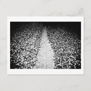 zwei Seiten Kakao Postkarte