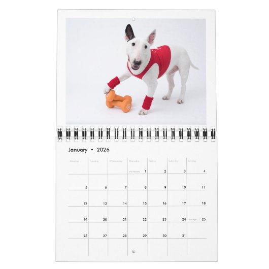 Zwei Seiten MediumKalender, weiß Kalender (Jan 2026)