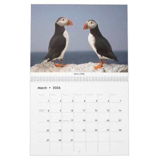 Zwei Seiten MediumKalender, weiß Kalender (Mär 2026)