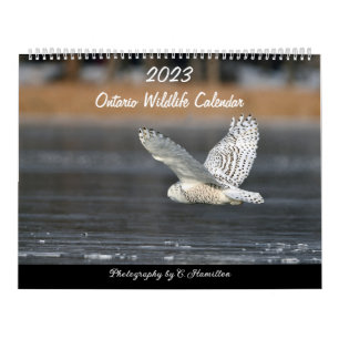 Zwei Seiten MediumKalender, weiß Kalender