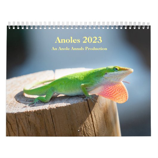 Zwei Seiten MediumKalender, weiß Kalender (Titelbild)