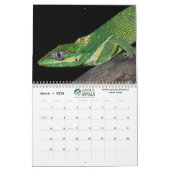 Zwei Seiten MediumKalender, weiß Kalender (Mär 2026)