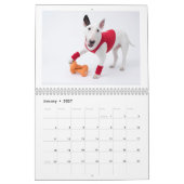 Zwei Seiten MediumKalender, weiß Kalender (Jan 2027)