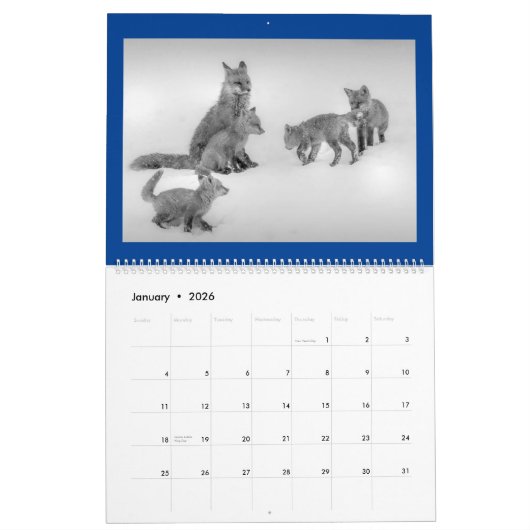 Zwei Seiten MediumKalender, weiß Kalender (Jan 2026)