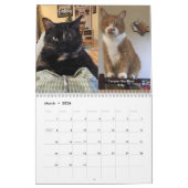 Zwei Seiten MediumKalender, weiß Kalender (Mär 2026)