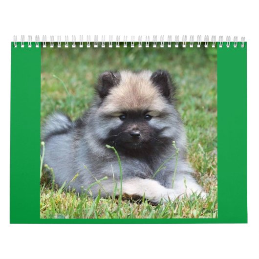 Zwei Seiten MediumKalender, weiß Kalender (Titelbild)