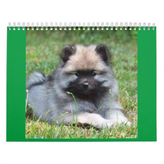 Zwei Seiten MediumKalender, weiß Kalender