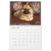 Zwei Seiten MediumKalender, weiß Kalender (Mär 2027)