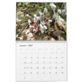 Zwei Seiten mittlerer Foto-Kalender anpassen, weiß Kalender (Jan 2027)