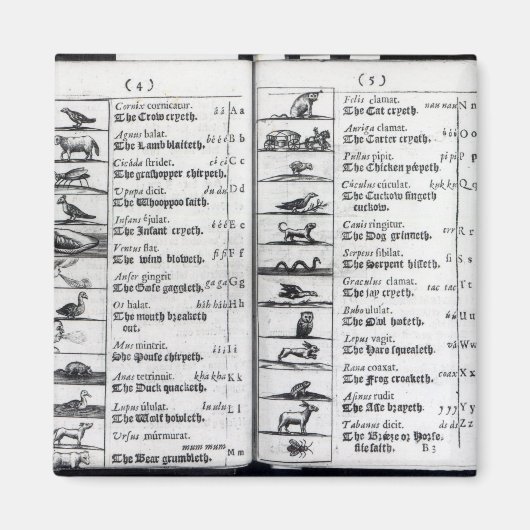 Zwei Seiten von "Orbis Sensualium Pictus" Magnet (Vorne)