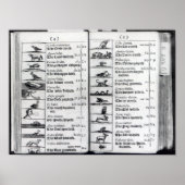 Zwei Seiten von "Orbis Sensualium Pictus" Poster (Vorne)