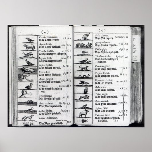 Zwei Seiten von "Orbis Sensualium Pictus" Poster (Vorne)