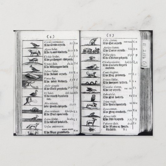 Zwei Seiten von "Orbis Sensualium Pictus" Postkarte (Vorderseite)