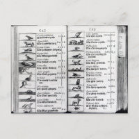 Zwei Seiten von "Orbis Sensualium Pictus"