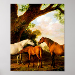 Zwei Shafto Mares und ein Fohlen von George Stubbs Poster