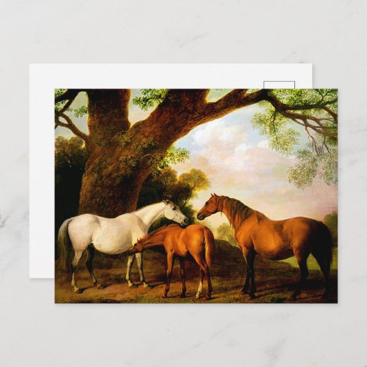 Zwei Shafto Mares und ein Fohlen von George Stubbs Postkarte (Vorne/Hinten)