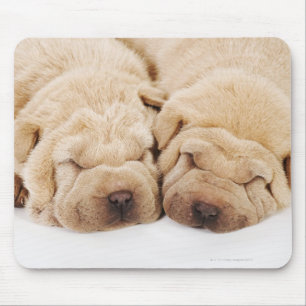Zwei Shar Pei Welpen schlafen Mousepad
