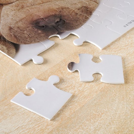 Zwei Shar Pei Welpen schlafen Puzzle (Seite)