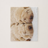 Zwei Shar Pei Welpen schlafen Puzzle (Vertikal)
