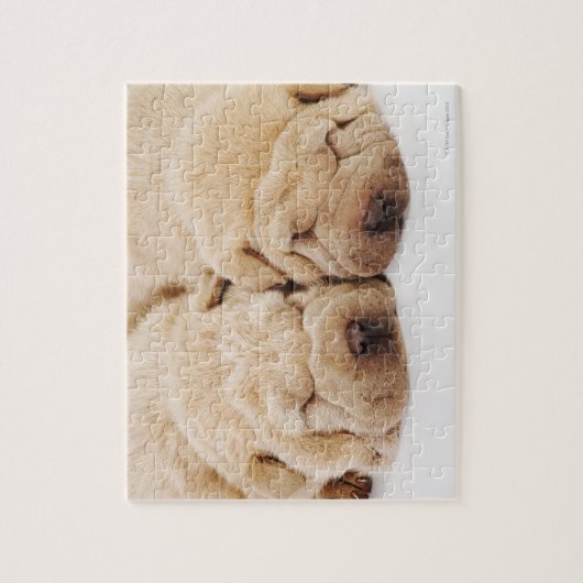 Zwei Shar Pei Welpen schlafen Puzzle (Vertikal)